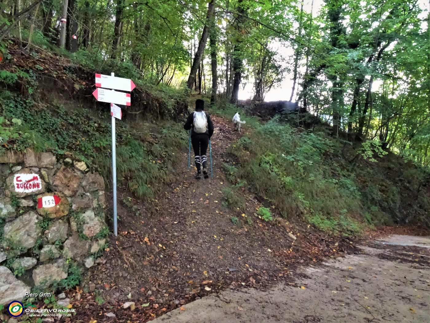 16 Dopo breve salita su stradetta imbocchiamo il sentiero 152 che sale nel bosco.JPG